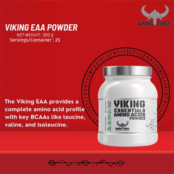 آمینو EAA وایکینگ 300 گرم