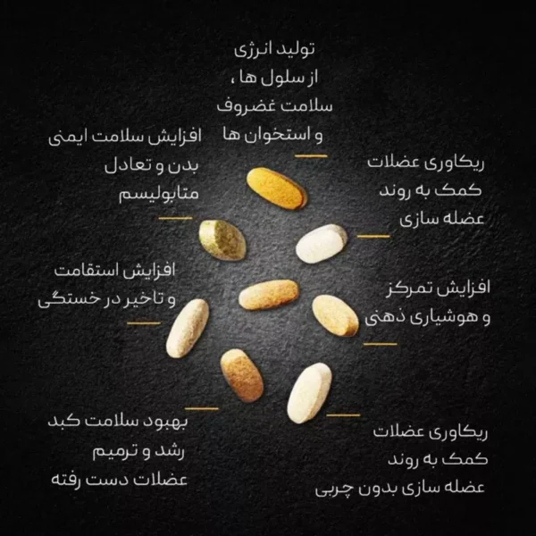 مولتی ویتامین انیمال پک یونیورسال