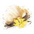 VANILLA