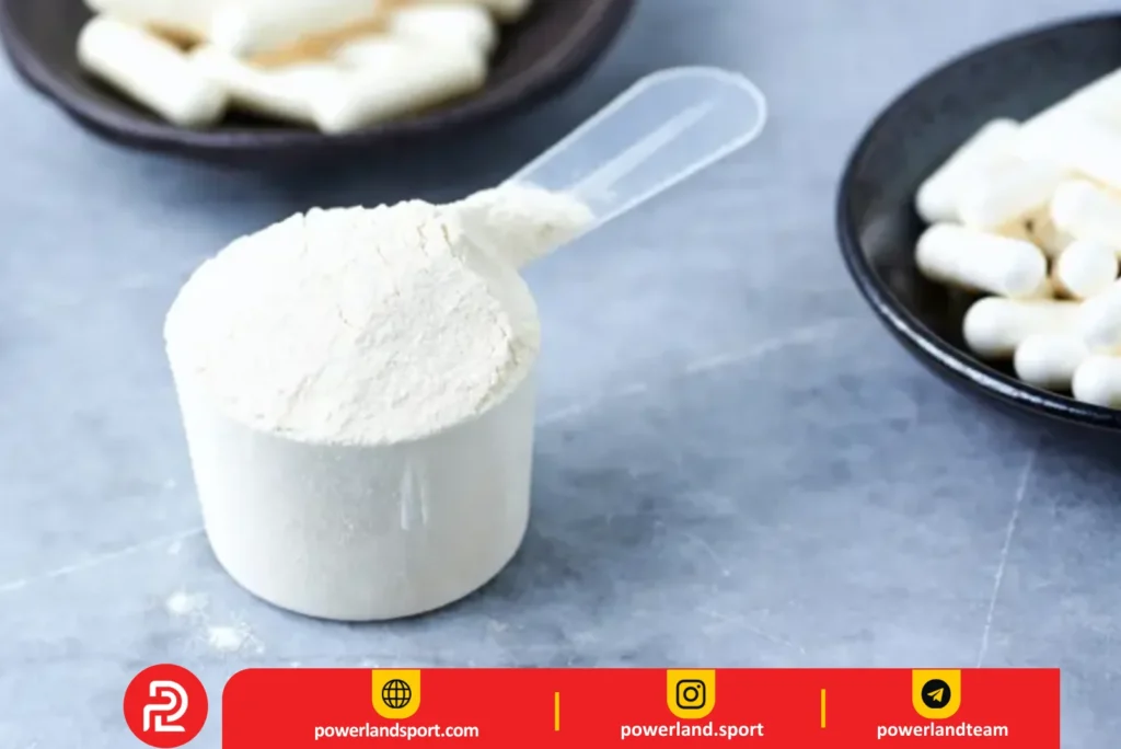 مکمل بتا آلانین بهترین مارک بتا آلانین